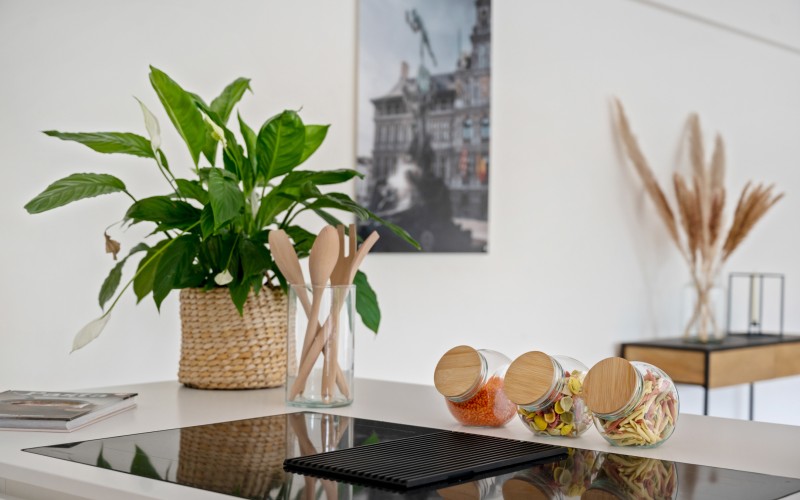 Residentieel appartement Antwerpen